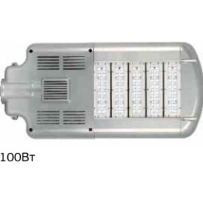 Светильник светодиодный ДКУ 10-100-001 