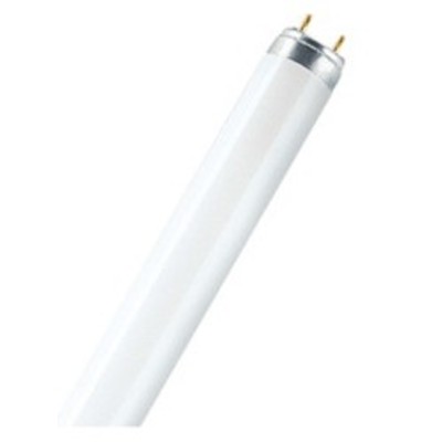 Лампа 58W Трубчатые лампы FLUORA ®  T8, цоколь G13 L 58 W/77  OSRAM