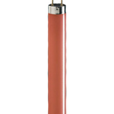 Лампа 18W Цветные трубчатые лампы T8, цоколь G13 L 18 W/60  красная OSRAM