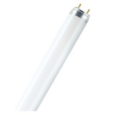Лампа 35W  LUMILUX ®  T5 HO высокой яркости, цоколь G5 FH 35 W/840 HE OSRAM